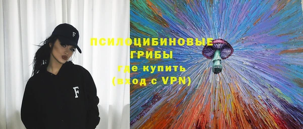 мяу мяу мука Абаза