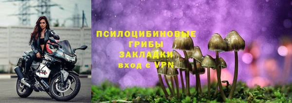 мяу мяу мука Абаза
