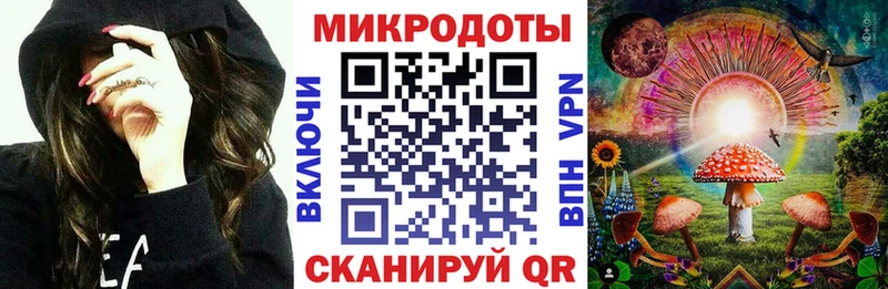 OMG зеркало  Торопец  Галлюциногенные грибы мицелий 