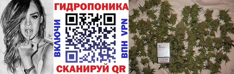 Бошки марихуана White Widow  OMG ONION  Торопец 